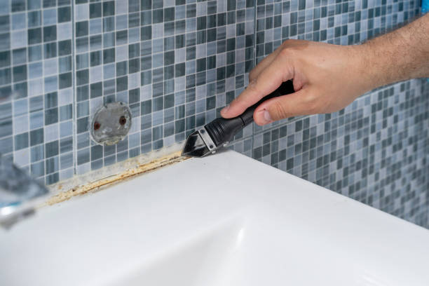Best Residential Mold Removal  in Soperton, GA